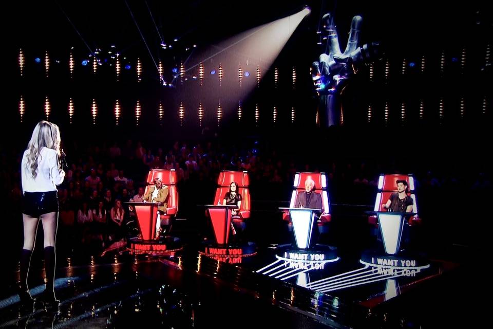 The Voice 2014