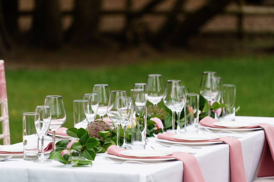 Rose Blush napkins.