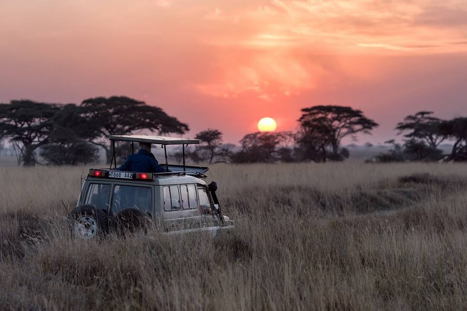 Sri Lankan Safari