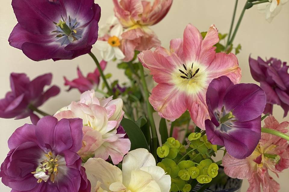 Bowl flowers: spring