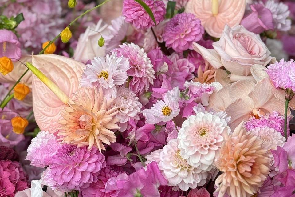 Elmley nature reserve