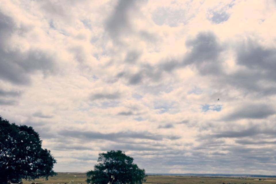 Elmley nature reserve