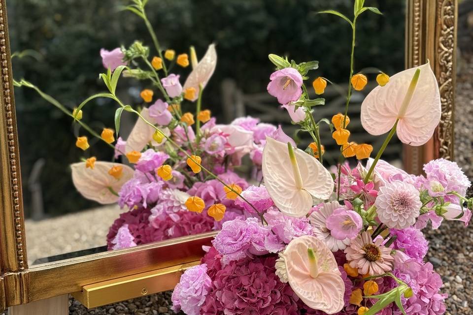 Elmley nature reserve