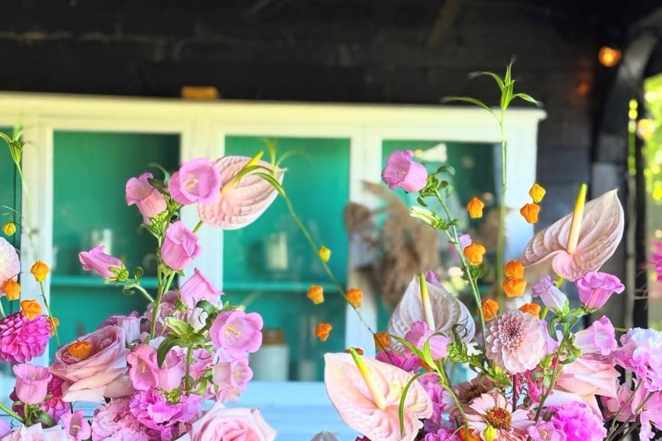 Elmley nature reserve