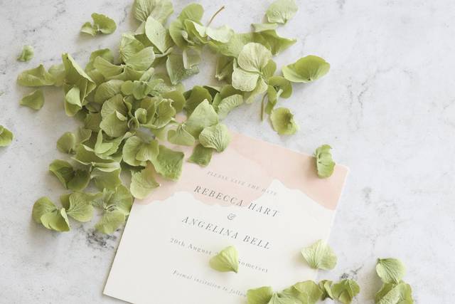 Green Hydrangea Petal confetti