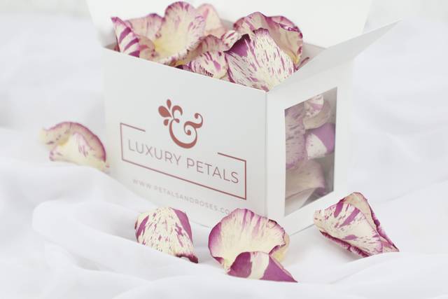 Raspberry Ripple Confetti
