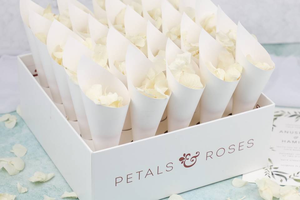 Cone Box with Confetti
