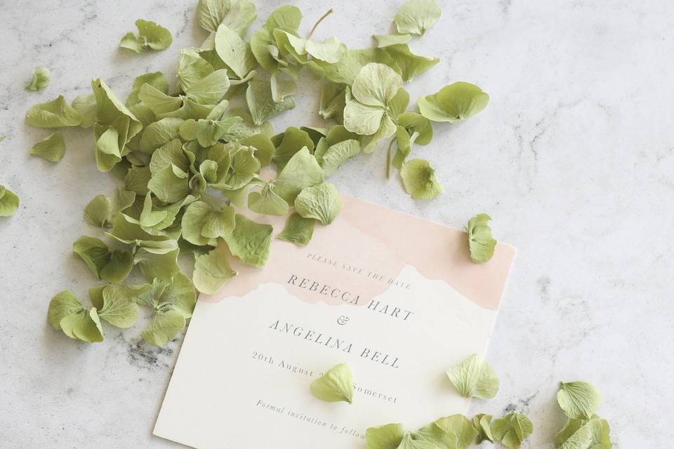 Green Hydrangea Petal confetti