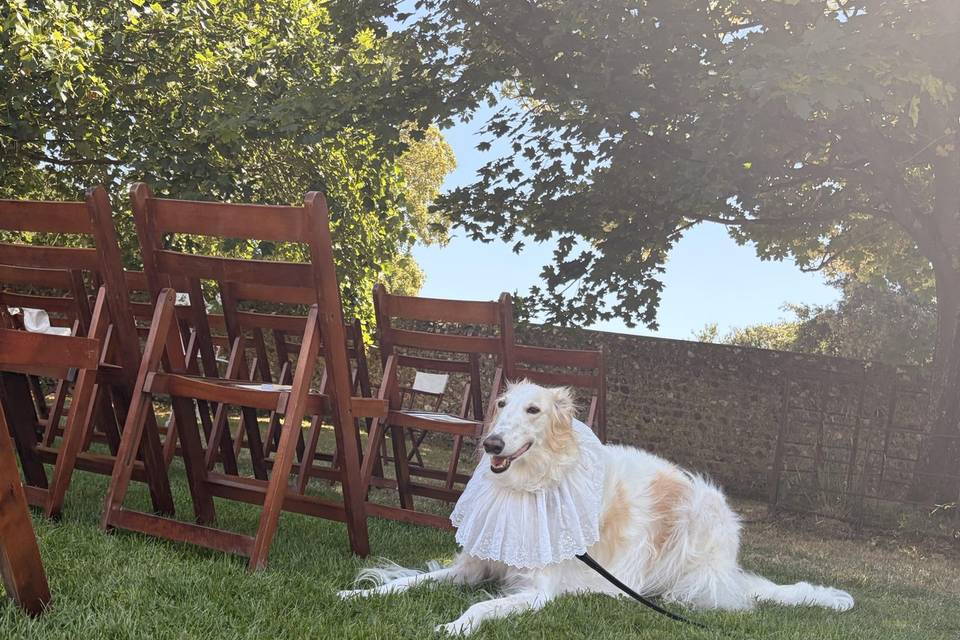 Joan