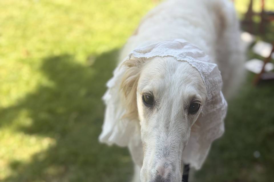 Joan