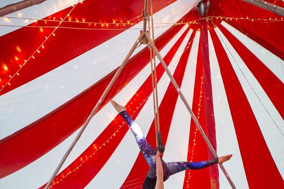 Trapeze artists hire