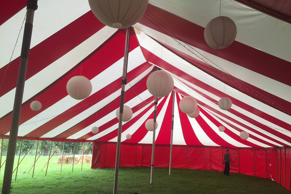 Tent with tree in it