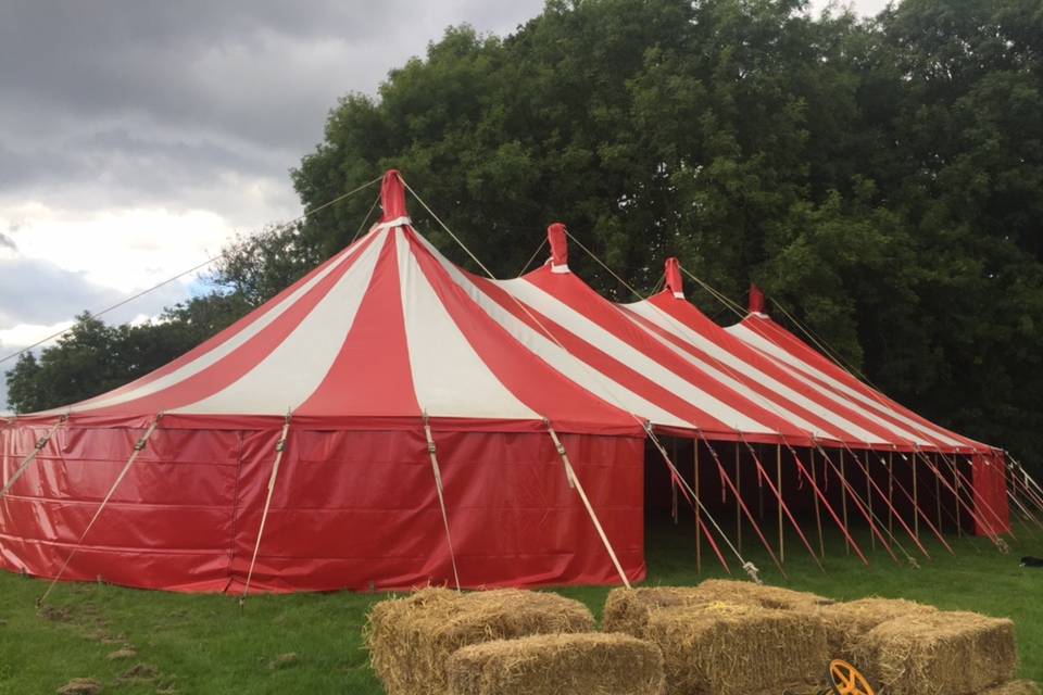 Festival wedding parties