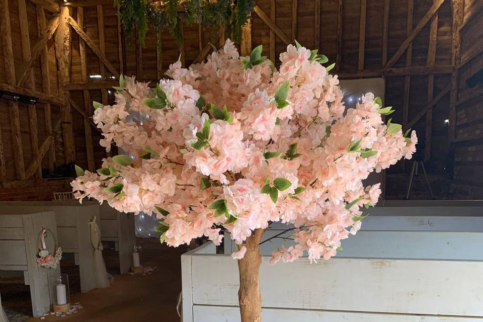 Blossom Trees