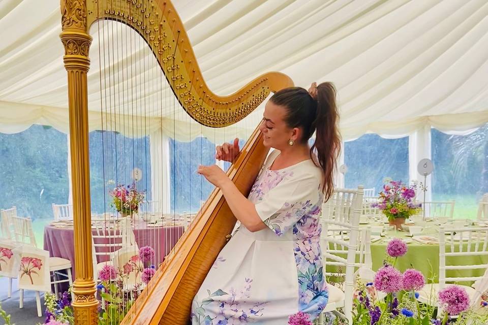 Harp Music
