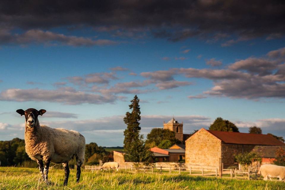 Dodford Manor - Barn Wedding Venue