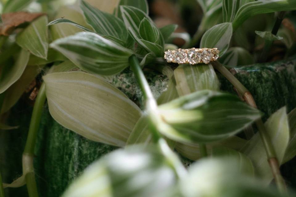 Heirlooms