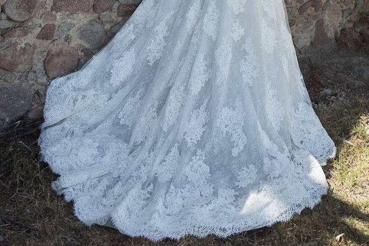 Calla Blanche Cambria