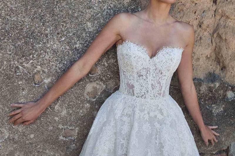 Calla Blanche Cambria