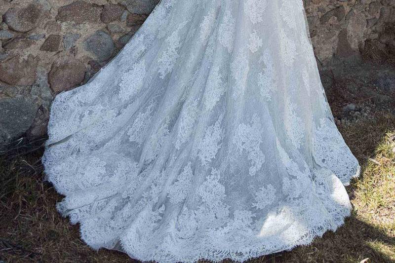 Calla Blanche Cambria