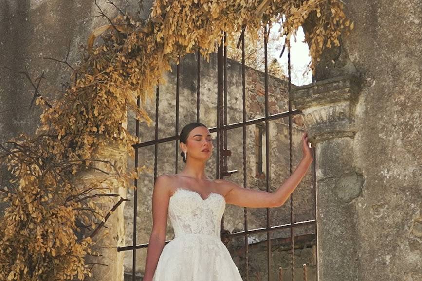 Calla Blanche Cambria