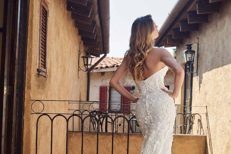 Calla Blanche Arrietta