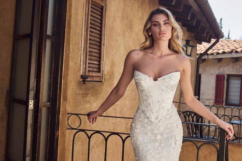 Calla Blanche Arrietta