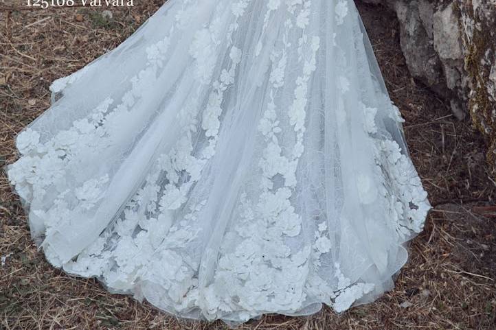 Calla Blanche Varvara