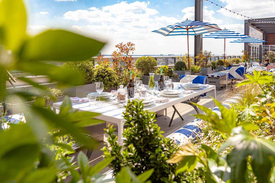 Skylark Roof Garden