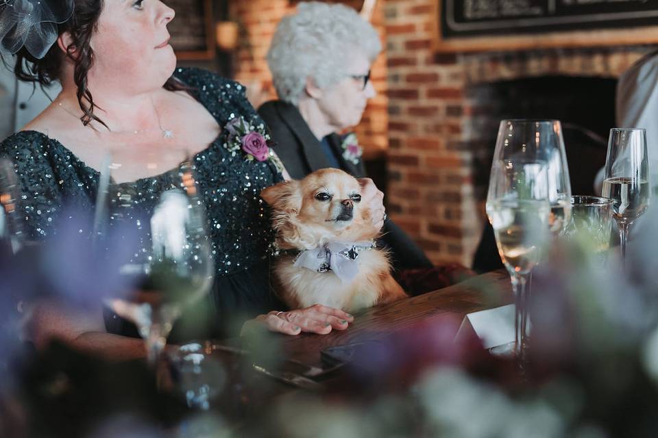 Dog friendly pub wedding