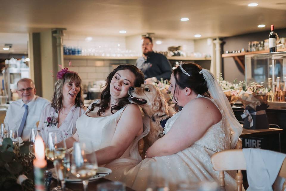 Dog friendly pub wedding