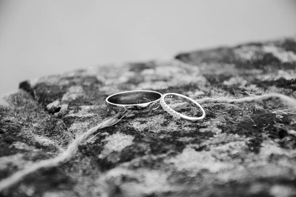 Wedding rings rustic