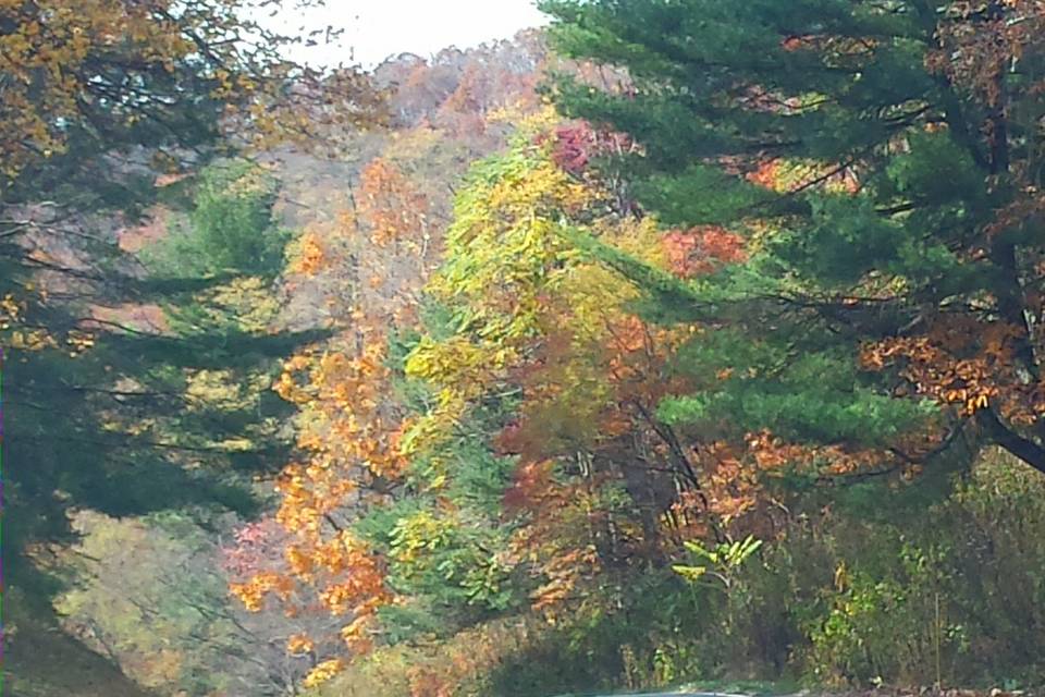 Blue Ridge mountains