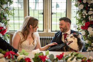 Healthy Paws - Dog Wedding Chaperone Service