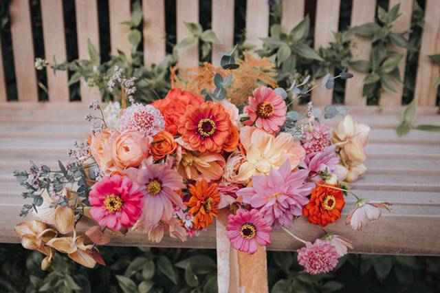 Those Zinnias ❤️🧡🩷