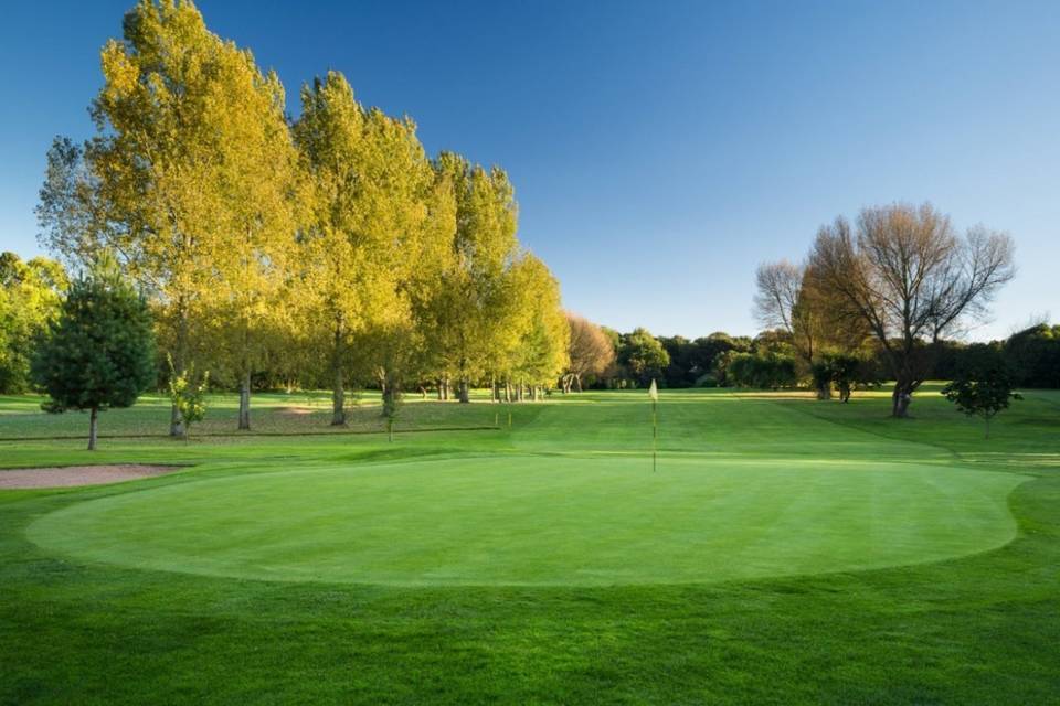The club's green