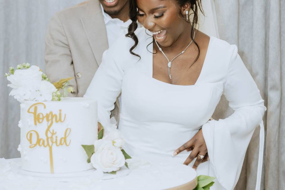 Bride and Groom cutting cake