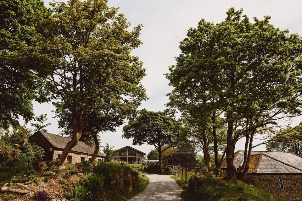 Some of the cottages