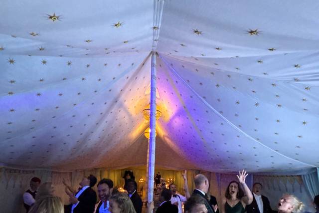 Crowd having fun at a wedding