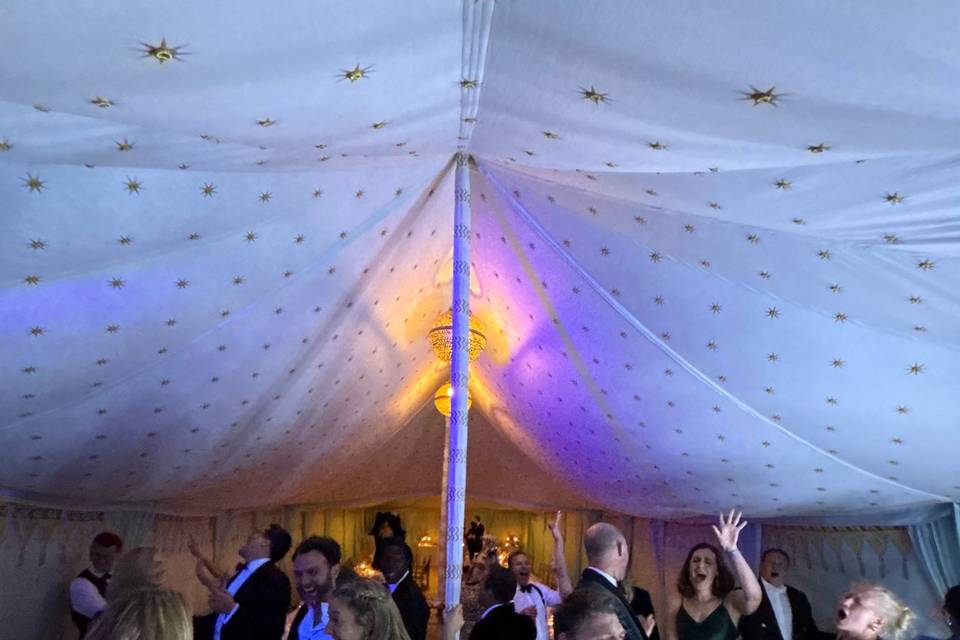Crowd having fun at a wedding