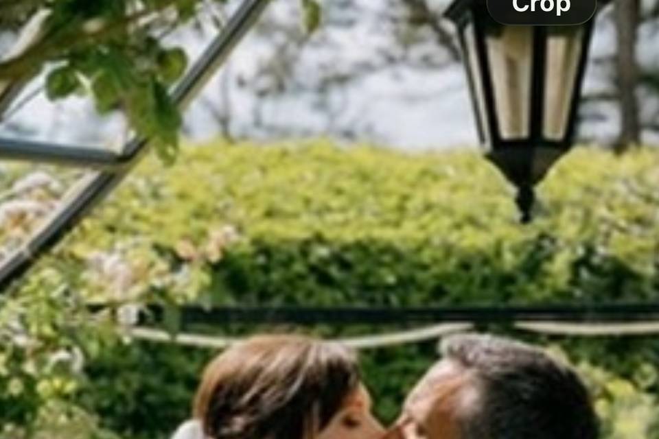 Alice’s wedding