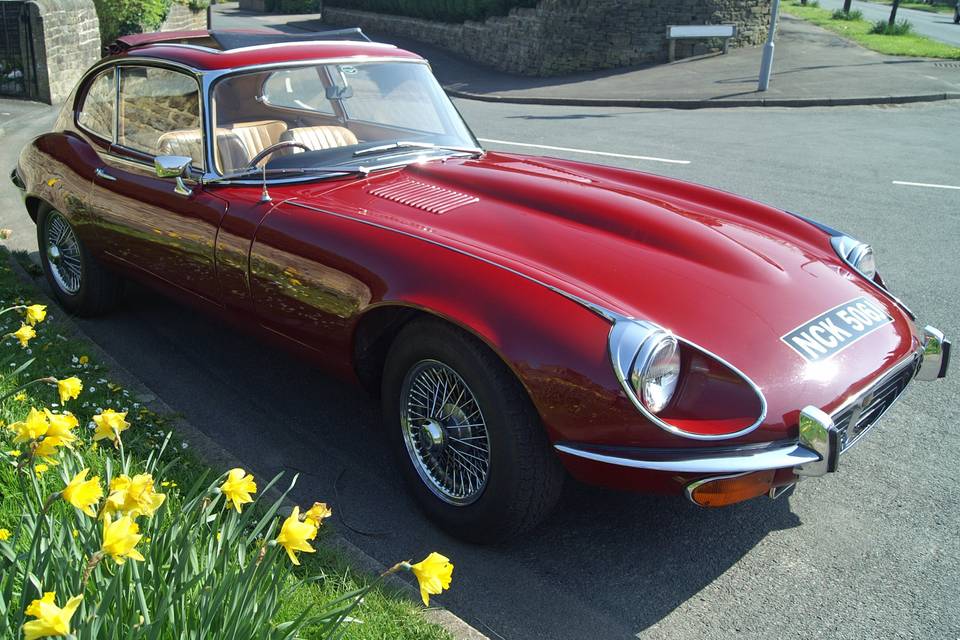 Jaguar E Type Coupe