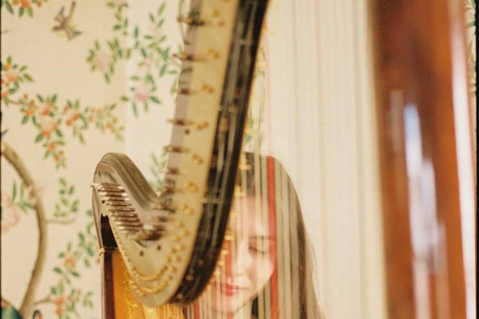 📷Jacobo Pachon