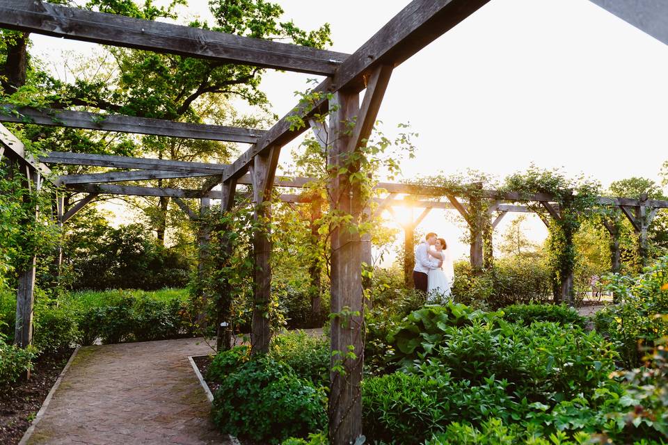 The Rose Garden