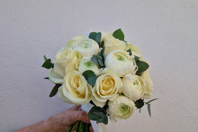 Elegant ivory and white