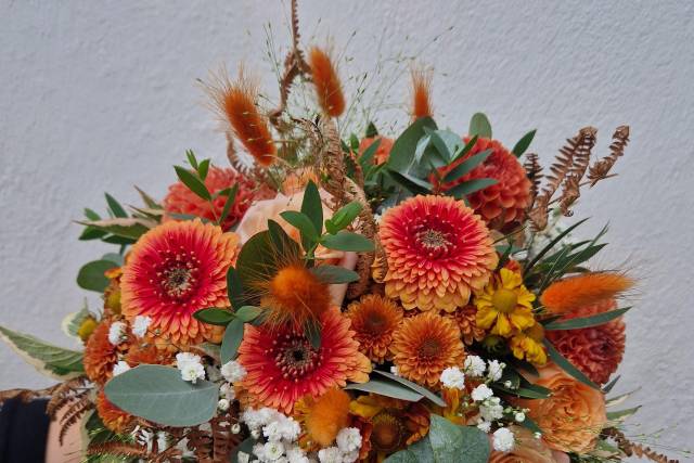 Autumn oranges
