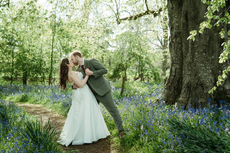 Dip amongst the bluebells