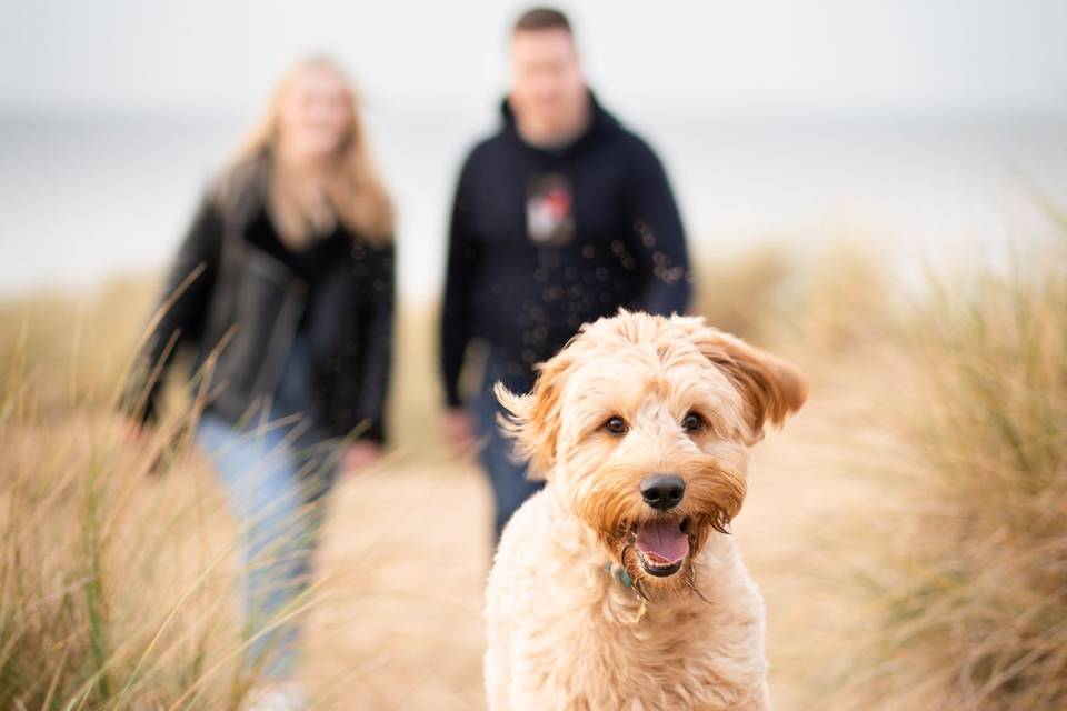 Beach walks