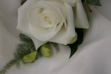 Corsage and buttonholes