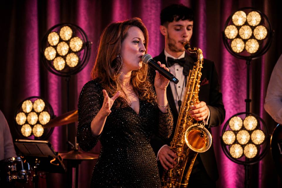 Big Fat Party Band